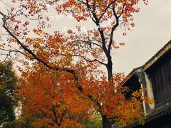 -四明山国家森林公园