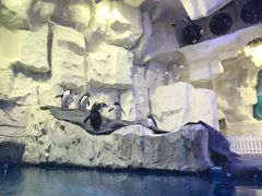 -华夏文旅海洋公园