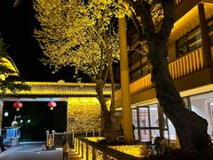 -黄陂区野村谷景区