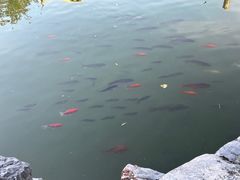 -花洲书院