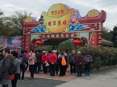 -天适樱花悠乐园
