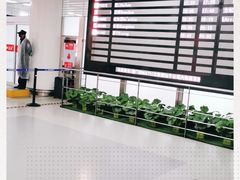 -太原武宿国际机场