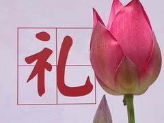 -莫愁湖公园