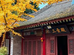 -少华山国家森林公园