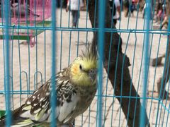 -洛阳马蹄泉旅游度假村