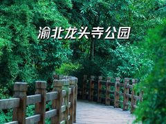 -龙头寺公园