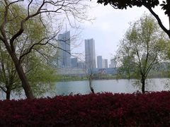 -天鹅湖体育公园