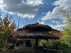-大连金石滩绿发温泉假日酒店