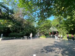 -柳侯公园