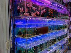 -双季花艺园艺市场(浦东店)