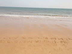 -日照海滨国家森林公园