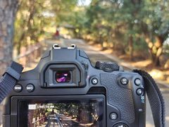 -CGWANG王氏教育(上海校区)