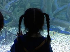 -江和美海洋公园