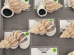 -万达广场(武汉菱角湖店)