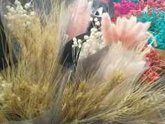 -三圣花乡旅游区