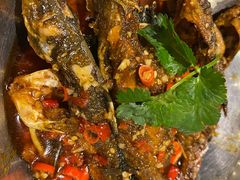 -石头咕(葵蓬店)