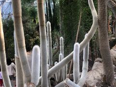 -北京植物园-展览温室