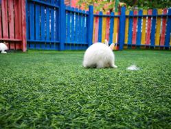 -萌宠亲子动物乐园(槐房万达店)