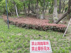 -中山公园(石岐街道)
