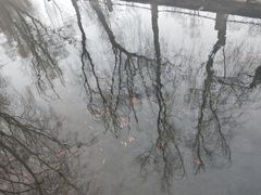 -水磨沟公园