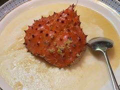 -顺轩海鲜火锅酒家
