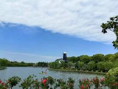 -上海鲜花港