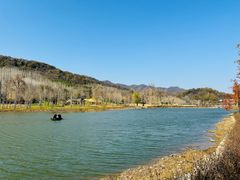 -千年银杏谷文化旅游区