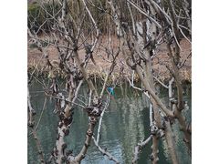 -白塘生态植物园