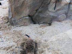 -广州融创文旅城