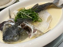 油盐蒸山泉鲩鱼-邑家人·山水四合院