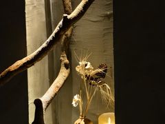 -森SPA·泰式按摩·精油Massage(宝安中心店)