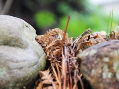 iphone_upload_pic-前童古镇