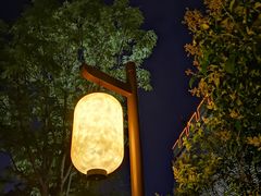 -老兰家传统烧烤炒菜泡馍(小南门店)