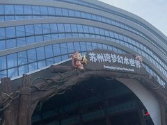 -苏州湾梦幻水世界