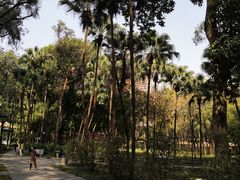 -十九路军淞沪抗日阵亡将士陵园