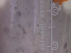 -CoCo都可(湖滨银泰店B区店)