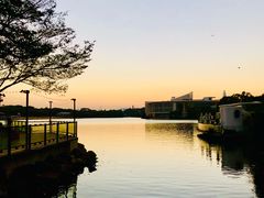 -陈鹏鹏潮汕菜(欢乐海岸 海边景观店)