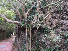 -龙坑生态保护区