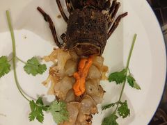 -吴记富苑(朝阳店)