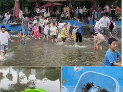 -洪湖家庭农场·团建·露营·会议