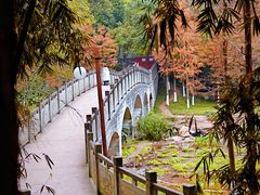 -重庆彩云湖湿地公园