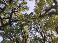 -桂林独秀峰王城景区