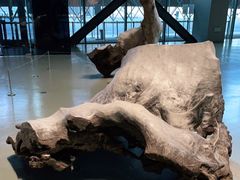 -上海当代艺术博物馆