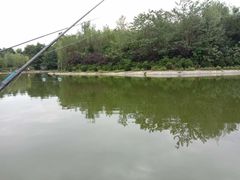 -蜀中烤霸·自助烤肉(郫都店)