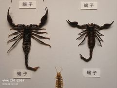 -天津自然博物馆