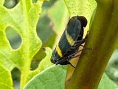 -水濂山森林公园