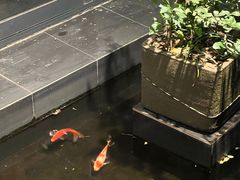 -旅马餐厅(茅家埠店)