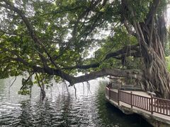 -荔湾湖公园