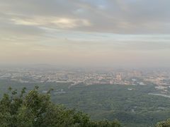 -紫金山山顶公园