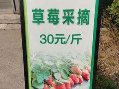 -苏州太湖西山岛开心农场